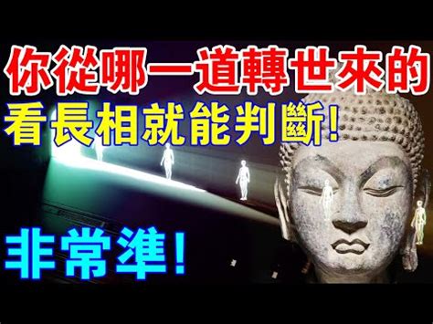 男修羅轉世特徵|戌宮‧修羅道‧天藝 《達摩一掌經》在年月日時柱之人格。